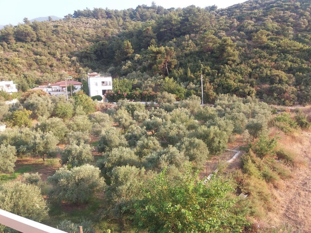 Zeus Apart Pansiyon Guzelcamlı Extérieur photo